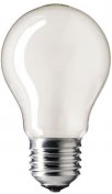 Лампа розжарення Philips E27 100W 230V A55 FR 1CT/12X10 Stan