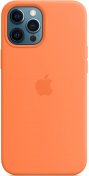 Чохол HiC for iPhone 12 Pro Max - Silicone Case without MagSafe Kumquat