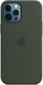 Чохол HiC for iPhone 12 Pro Max - Silicone Case without MagSafe Cyprus Green