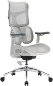 Крісло SIHOO Doro S100 White (S100-M302)