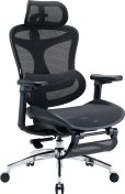 Крісло SIHOO Doro C300L with Footrest Black (DORO-C300L-A3-101-JT)