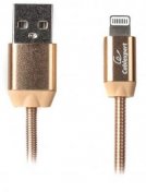 AM/Lightning CCPB-L-USB-08G Gold