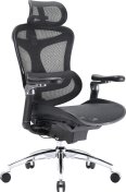 Крісло SIHOO Doro C300 Pro Black (DORO-C300-PRO-M101)