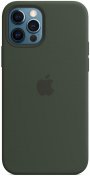 Чохол HiC for iPhone 12/12 Pro - Silicone Case Cyprus without MagSafe Green