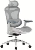 Крісло SIHOO Doro C300 Pro White (DORO-C300-PRO-M102)