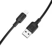 Кабель BOROFONE BX113 Lenny 2.4A AM / Lightning 1m Black (6941991115394)
