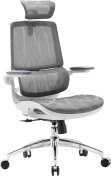 Крісло SIHOO M59AS Mesh Gray (M59AS-M301)