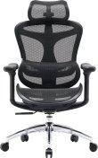 Крісло SIHOO Doro C300L Black (DORO-C300L-A3-101)