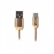AM/Type-C CCPB-C-USB-08G Gold