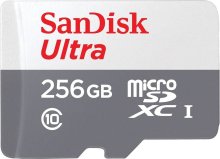  FLASH пам'ять SanDisk Ultra Micro SDXC 256GB (SDSQUNR-256G-GN3MN)