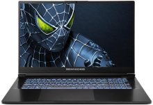 Ноутбук Dream Machines RG5050-17UA24