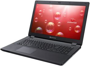 Ноутбук Acer ENLG81BA-P7SV (NX.C44EU.012)