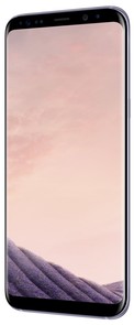 Смартфон Samsung Galaxy S8 Plus сірий