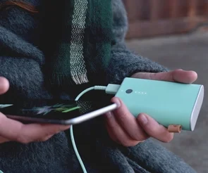Фото: Батарея універсальна Fresh 'N Rebel 9000mAh Peppermint (2PB3000PT) № 5 | KTC