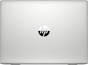 Ноутбук HP ProBook 445 G6 5XH25AV_V1 Silver