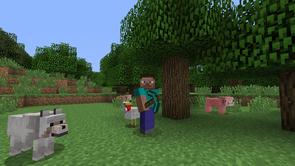 Minecraft-PlayStation-Screenshot_10