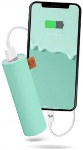 Фото: Батарея універсальна Fresh 'N Rebel V2 3000mAh Peppermint (2PB1500PT) № 3 | KTC
