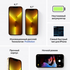 Смартфон Apple iPhone 13 Pro Max 256GB Gold