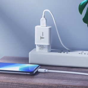 Зарядний пристрій T-PHOX TCC-124 White with Micro USB cable (TCC-124 (W)+Micro)