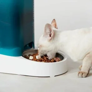 Фото: Смарт годівниця PETKIT Fresh Element SOLO White (713106) № 7 | KTC