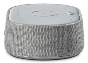 Колонка Harman Kardon Oasis FM Grey (HKCITAOASISFMGRYEP)