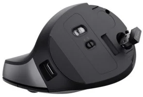 Фото: Миша Trust Bayo II Ergonomic Mouse Wireless Black (25145) № 7 | KTC