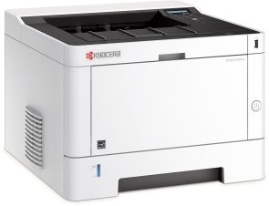 Принтер Kyocera ECOSYS P2040dw (1102RY3NL0)