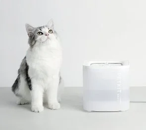 Фото: Поїлка PETKIT Eversweet Solo SE Smart Pet Drinking Fountain White (P4103S-W) № 7 | KTC