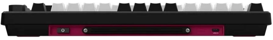 Фото: Клавіатура Lorgar KBP7075W Toxic Purple ENG WL/RT/USB Black (LRG-KBP7075W-BK-US) № 6 | KTC