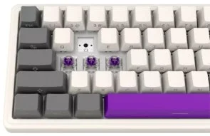 Фото: Клавіатура Lorgar KBP70MW Toxic Purple ENG WL/RT/USB Beige (LRG-KBP70MW-RT-US) № 5 | KTC