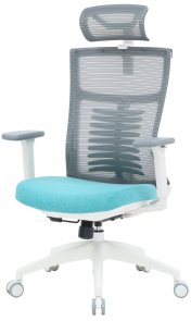 Крісло OfficePro Balance OC550-W-DG-BL White/Dark Gray/Blue