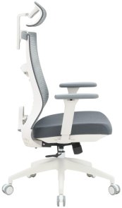 Крісло OfficePro Balance OC550-W-DG-DG White/Dark Gray