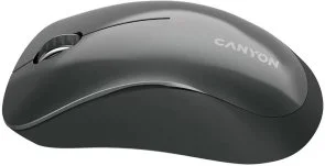 Фото: Миша Canyon CNE-CMSW11B Grey № 3 | KTC