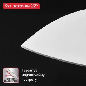 Фото: Ніж кухонний кухарський Tefal Precision 20cm Stainless steel (K2890224) № 5 | KTC