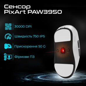 Миша RAWM ES21PRO Black (6973487190288)
