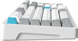 Фото: Клавіатура GamePro Asgard Drakkar MK305WH WL/BT/USB White № 4 | KTC