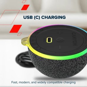 Портативна колонка Canyon OnMove 13 Black (CNE-CBTSP13B)