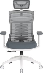 Крісло OfficePro Balance OC550-W-DG-DG White/Dark Gray