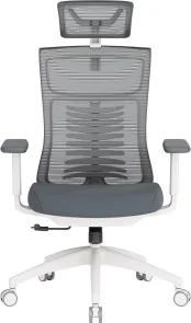 Фото: Крісло OfficePro Balance OC550-W-DG-DG White/Dark Gray № 3 | KTC