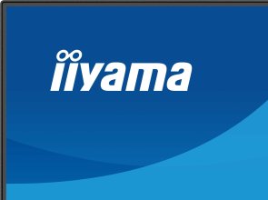  Монітор iiyama ProLite XB2497HSN-B1 Black