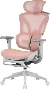 Фото: Крісло OfficePro Elite OC950GLP Gray/Light Pink № 3 | KTC