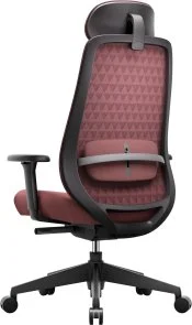 Фото: Крісло OfficePro Omnis OC640R Burgundy № 3 | KTC