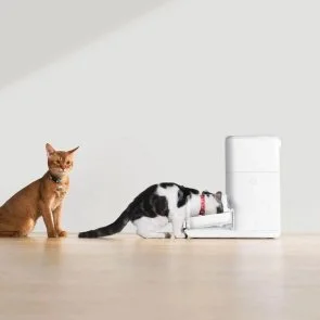 Фото: Смарт-годівниця CATLINK Automatic Feeder-FRESH 2 (CL-FD-02) № 12 | KTC