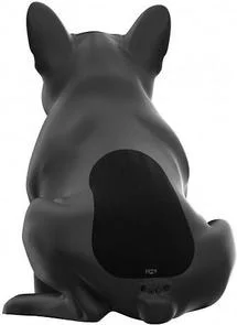 Фото: Портативна колонка Jarre Technologies AeroBull XS1 Matt Black (ML0602 3201) № 6 | KTC