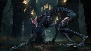 Фото: Гра Bloodborne PS4 Blu-ray № 17 | KTC