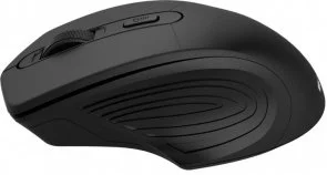 Фото: Миша Canyon CNE-CMSW15B Black № 4 | KTC