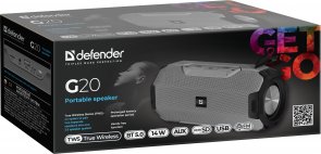 Портативна акустика Defender G20 Grey (65020)