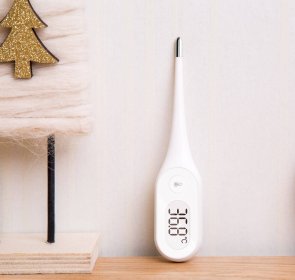 Медичний електронний термометр Xiaomi iHealth Medical Electronic Thermometer (DT102)