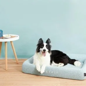 Фото: Ліжко PETKIT four season pet bed size S (680474) № 3 | KTC