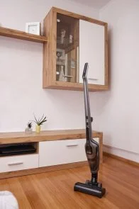 Фото: Ручний бездротовий пилосос Gorenje SVC252110FSIIA № 19 | KTC